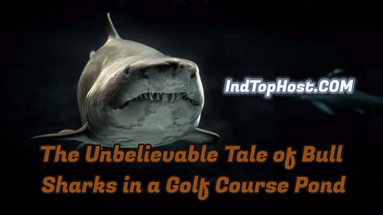 The Unbelievable Tale of Bull Sharks in a Golf Course Pond